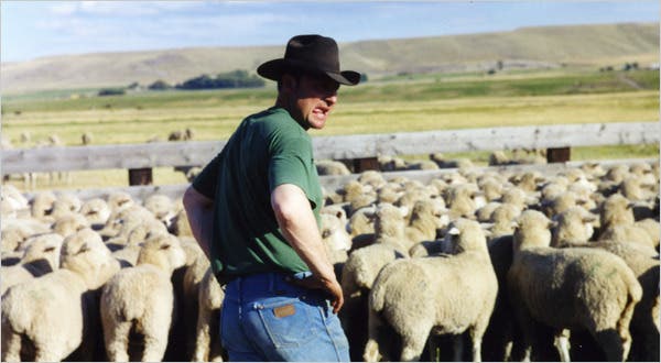 Sweetgrass (2009)